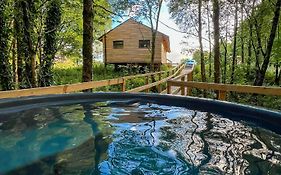 Tempo Manor Cabins